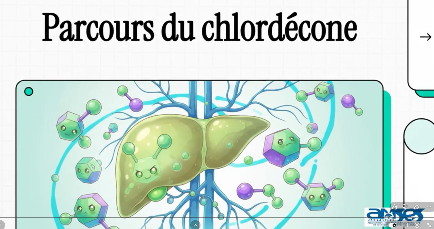 Chlordécone : Ce que votre corps subit et comment s’en libérer